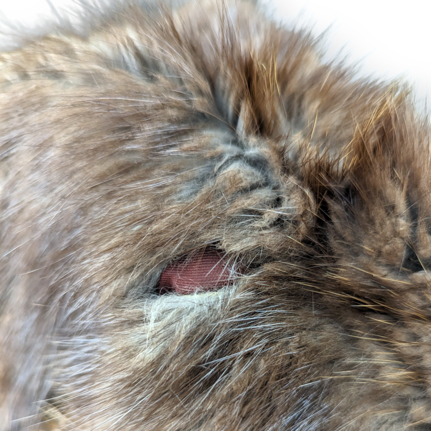 David Vard Vintage Ireland Dublin Brown Real Fur Coat Jacket Women Size Medium