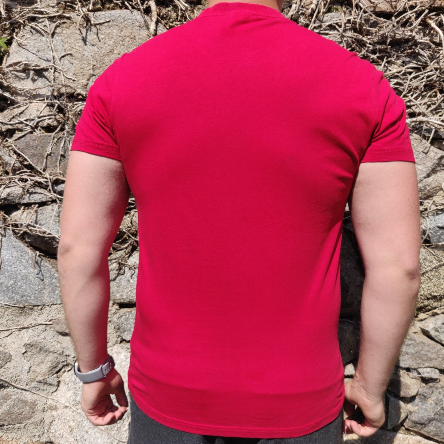 The North Face Red Short Sleeve Graphic Big Logo T-shirt Men Size Medium