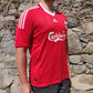 Adidas Liverpool 2008/2010 Home Football Jersey Shirt TORRES #9 Men Large ~ 313214