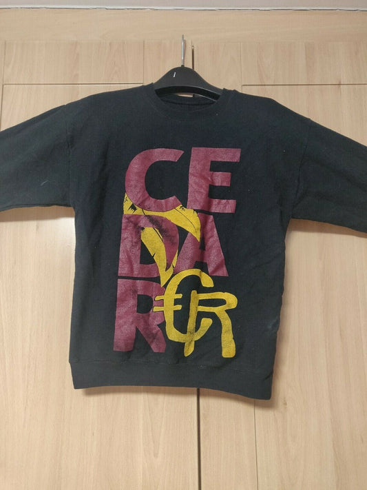 Hanes Cedar Black Sweatshirt Long Sleeve Jumper Men Size Large