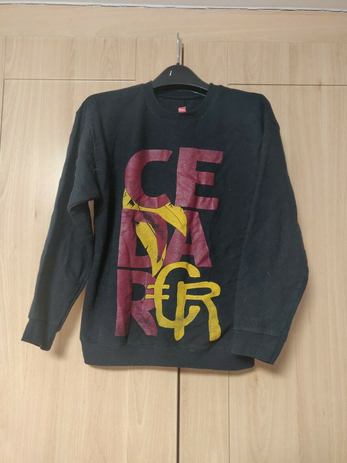 Hanes Cedar Black Sweatshirt Long Sleeve Jumper Men Size Large