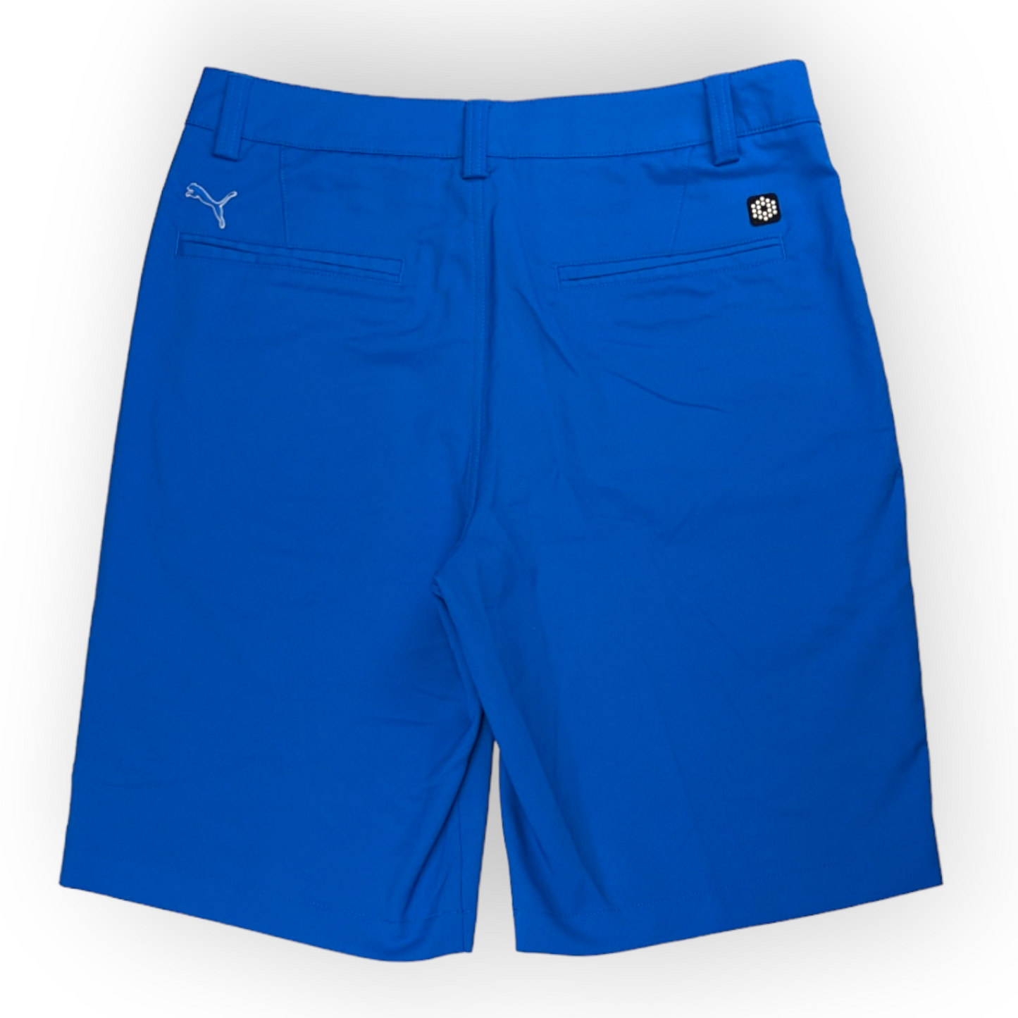 Puma Blue Sports Athletic Training Shorts Men Size Small